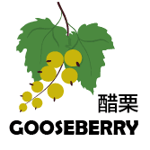 Gooseberry - WineNow HK