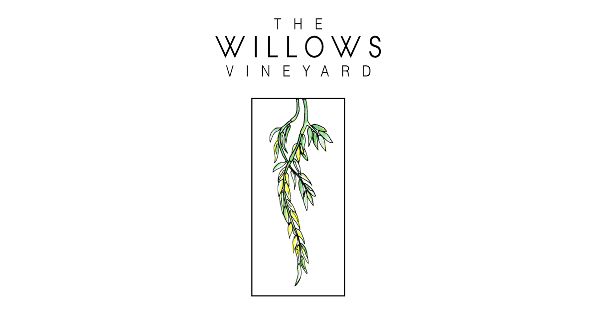世代相傳的「妙酒人心」 The Willows Vineyard - WineNow HK
