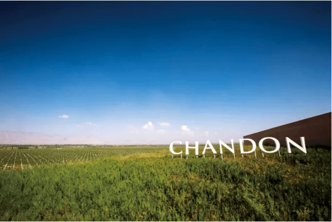 寧夏專題 l 謀事在人 寧夏永寧的政策與產業發展 - WineNow HK 專欄文章