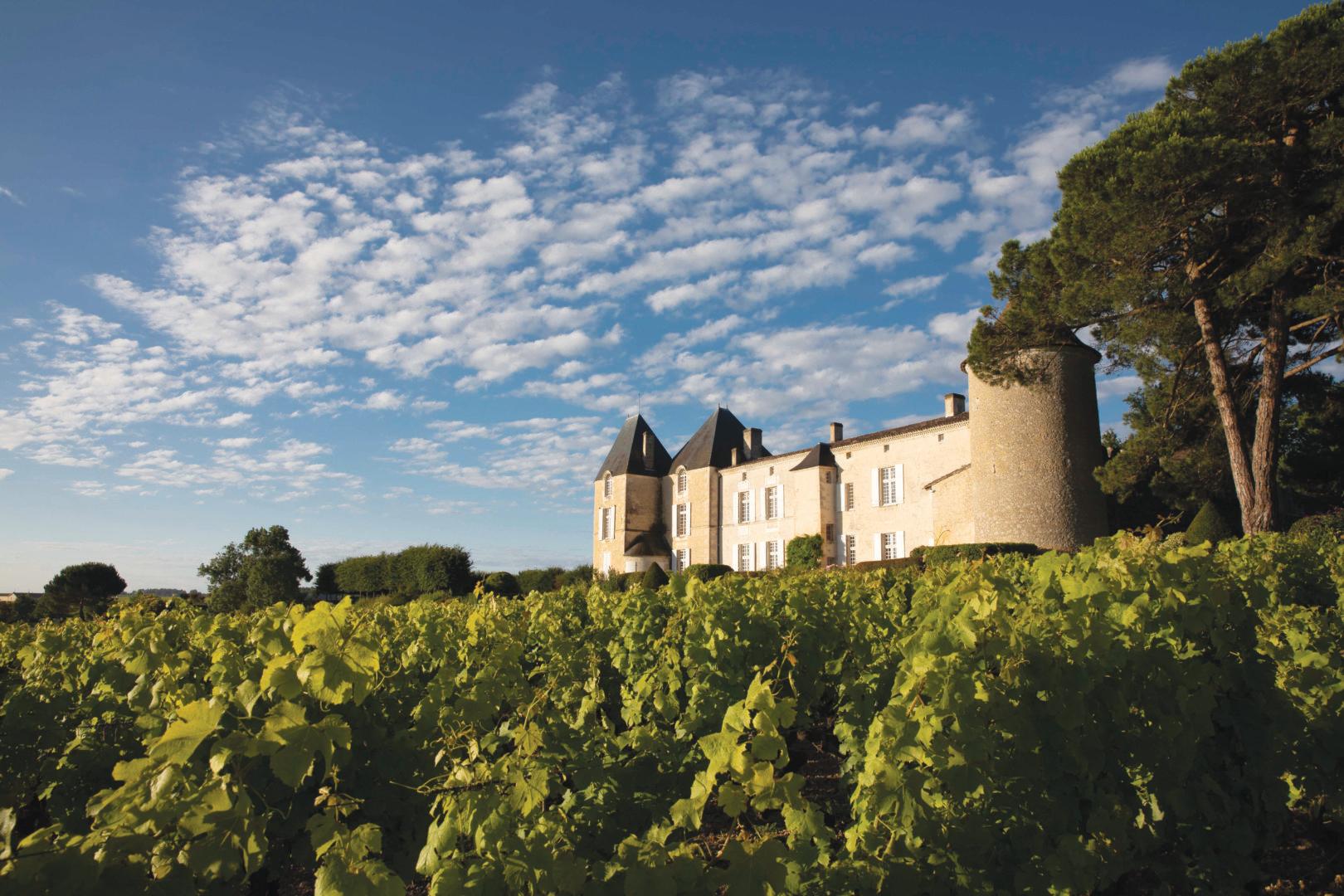 滴金Château d’Yquem緣何是波爾多唯一的超一級莊？ - WineNow HK 專欄文章