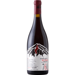 Sciara, 760 metri Sciarnuova, Etna Rosso 2020 - WineNow