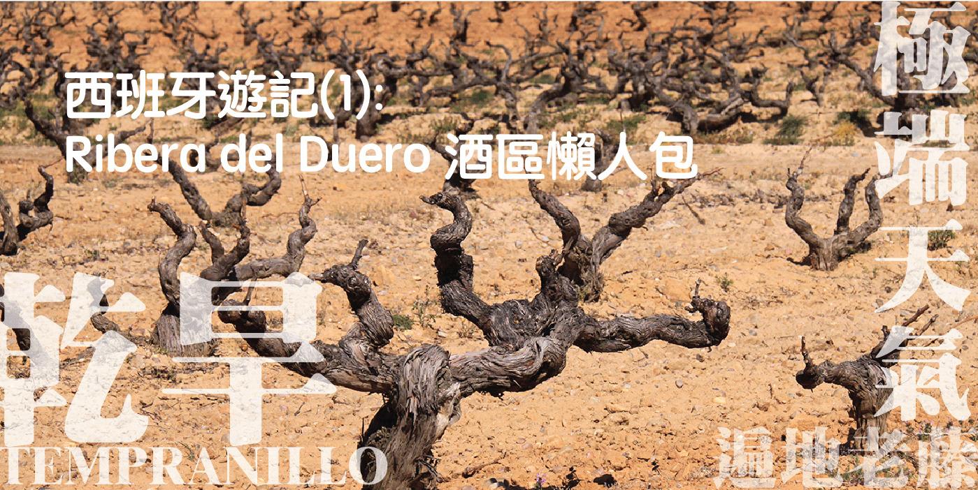 西班牙遊記(1): Ribera del Duero 酒區懶人包 - WineNow HK