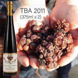 Domdechant Werner Hochheimer Riesling Trockenbeerenauslese Rheingau 2011 (375ml 兩支) 貴腐甜酒 - WineNow