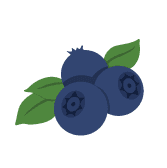 Blueberry - WineNow HK