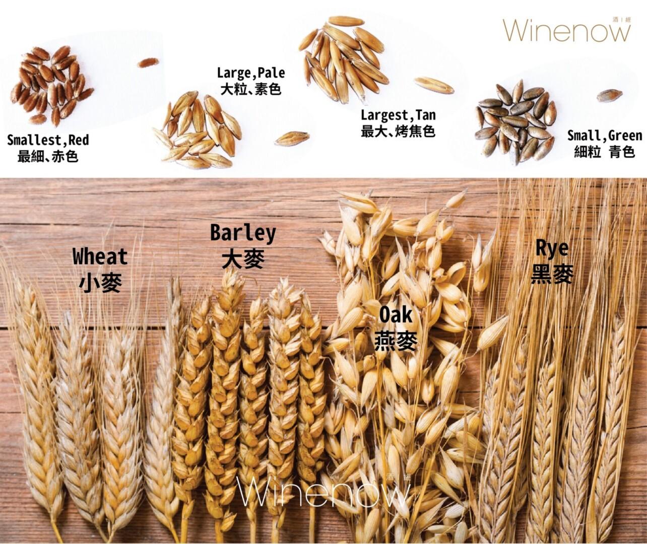 威士忌溫故知新:一門三傑 乜穀乜麥 - WineNow HK