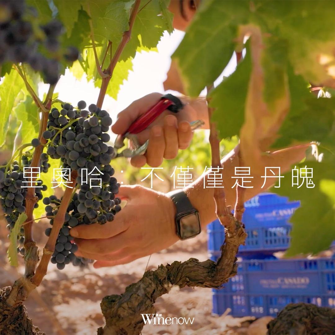 里奧哈:不僅僅是丹魄 - WineNow HK